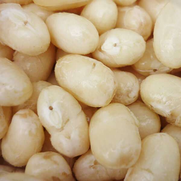 大豆