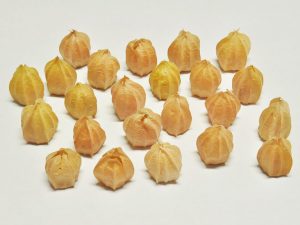 ほおづきイメージ