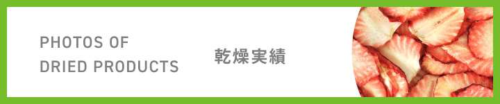 乾燥実績